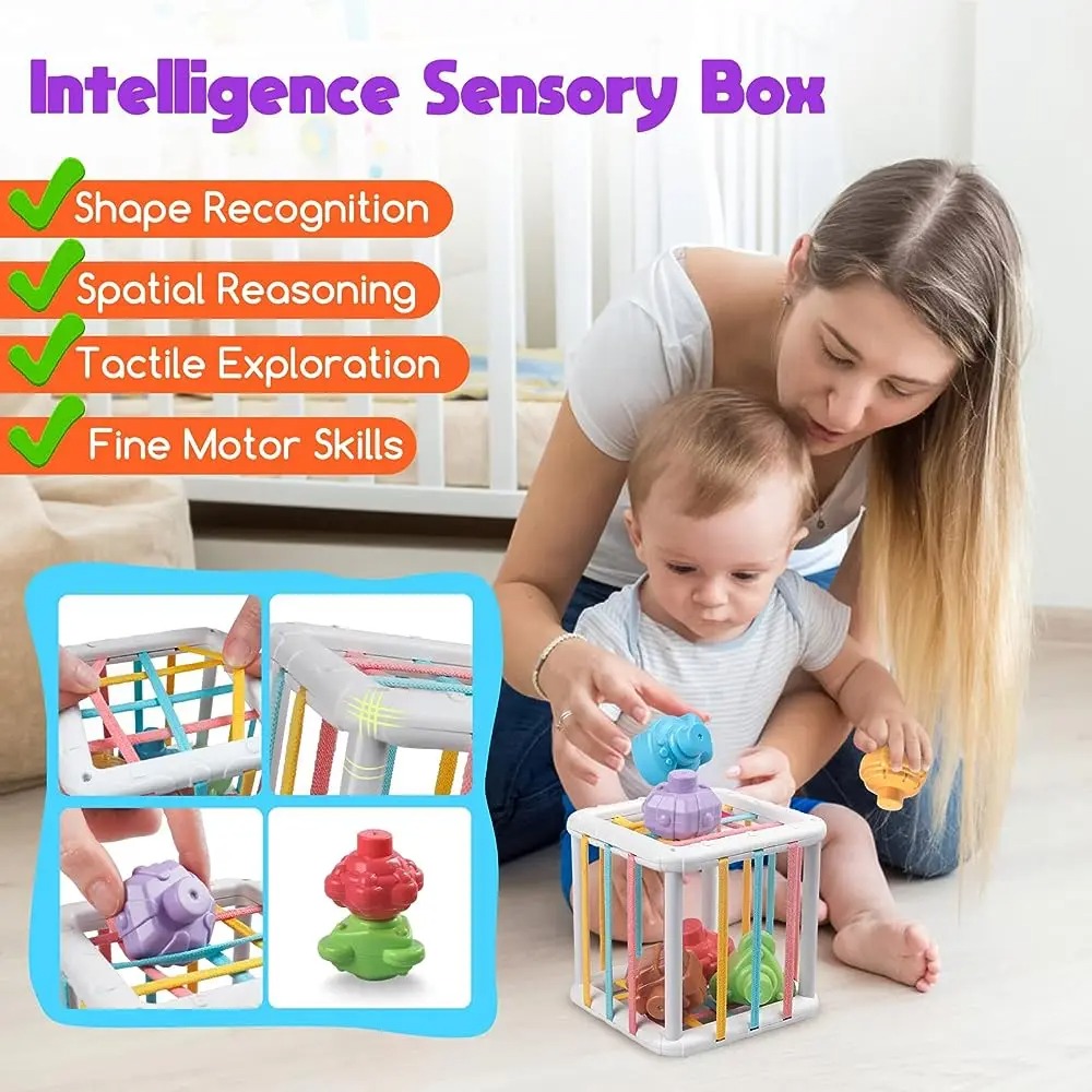 Regenbogenfarbiger Montessori- – Baby Products Toys Bewertung und Preis